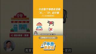 一次看懂半導體產業鏈！IC、IP是什麼？ #小朋友學投資 #podcast