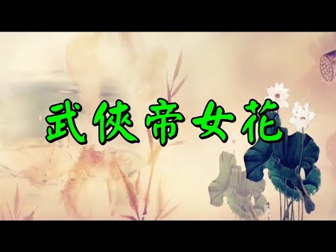 YPT44《武俠帝女花》心靈音樂｜休閒音樂｜佛教音樂｜禪修音樂｜太極拳背景音樂＞無痕加長珍藏版