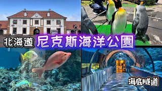 北海道登別尼克斯海洋公園全攻略｜親手觸摸魟魚｜企鵝遊行｜海豚、海豹、海獅表演｜海底隧道｜金魚萬花鏡，夢幻城堡中的水族館