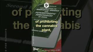 GLM did it. Delhi High Court accepted petition on Cannabis.