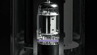 ENIAC: The Birth of the Computer #shorts