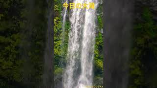 今日の大滝5月31日#滝 #waterfall #shorts
