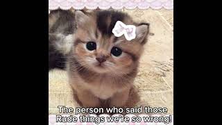 :3 #comfort #wholesome #cats #sillycats #jobapplication #job #cookierunkingdom #cookierun #crk