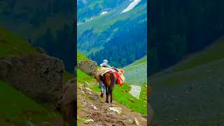 #naturalbeauty #nature #mountains #travel #kashmir