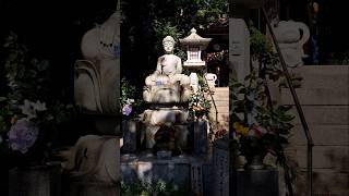 日本九州之旅 #日本九州 #如意輪寺 #青蛙寺 #かえる寺 #日本寺廟 #自由行 #Temple #shirne #Fukuoka #culture #japantrip #frogshrine
