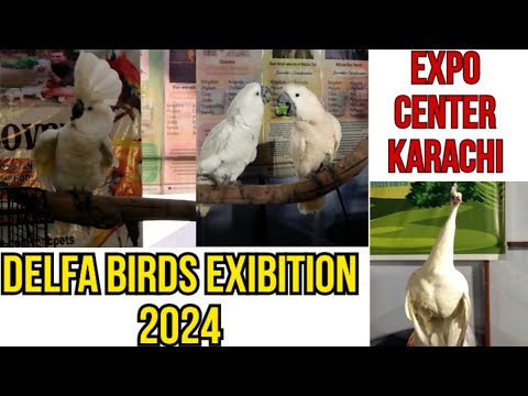 DELFA Exibition Karachi 2024 | EXPO Center Karachi 2024