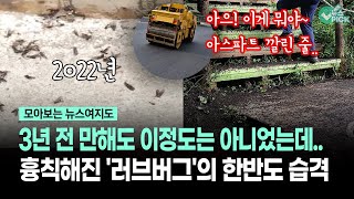 [News Map] It wasn't like this 3 years ago... The 'love bug' that has become more vicious is atta...