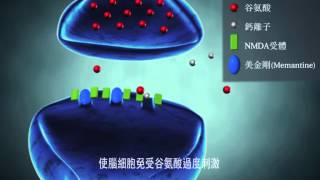 香港認知障礙症協會-認知障礙症病理篇