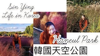 [韓國天空公園] 有BT21, 蘆葦草, 粉紅芒草, 波波草(心心眼)