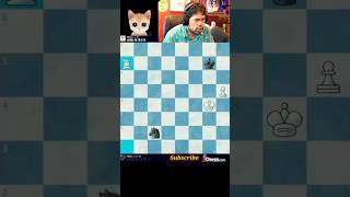 🧛Finally Hikaru defeated Mittens😼🙀😿 #shorts #chess #hikaru #hikaruclips #chessshorts #mittens #viral
