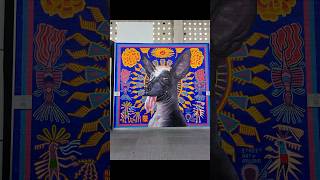 Check out this impressive graffiti mural titled  Grafo HuiXolo by Rilke Roca Guillén
