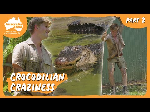 A new home for these crocodilians | Australia Zoo Life