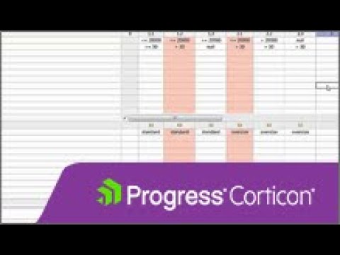 Corticon Revealing Rule Problems
