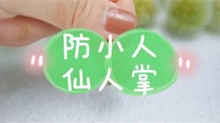 【J'code 真愛密碼】防小人仙人掌系列