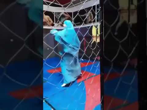 My wife must ..understand self defence.....👊👊نعم