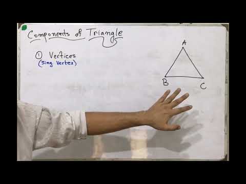 Components of a triangle 🔺 A closed geometric shape with three vertices, three sides & three angles