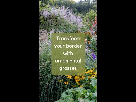 Ornamental Grass Placement Secrets Revealed!