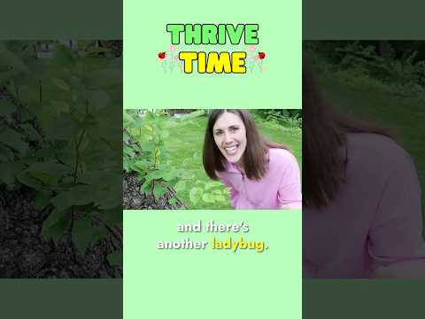 Ladybug Hunt Adventure 🐞 Learn to Count Outside!