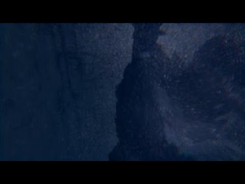 食人大鷲｜bug｜Trico你的脖子還好嗎？
