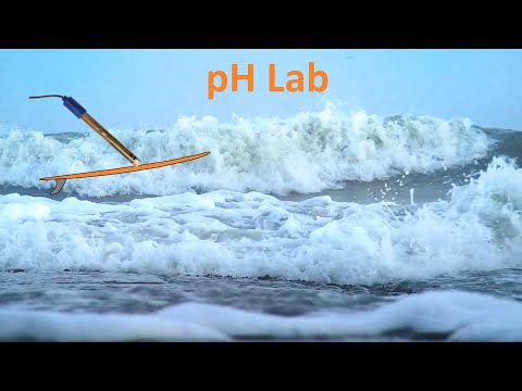 Lab 6 (pH)