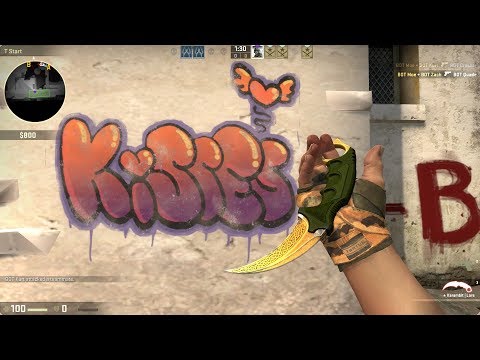CSGO SHIT PLAYER XD