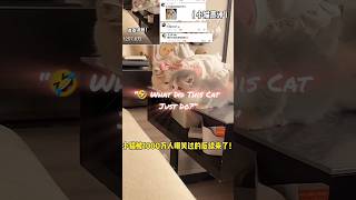 😹 Funniest Cat Video Ever | Try Not to Laugh 🤣 | Cat Fails Compilation #FunnyCats #CatFails #shorts