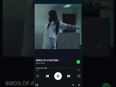 But baby I I love until that day I die _ birds of a feather Bille Eilish #edit #songs #billeeilish