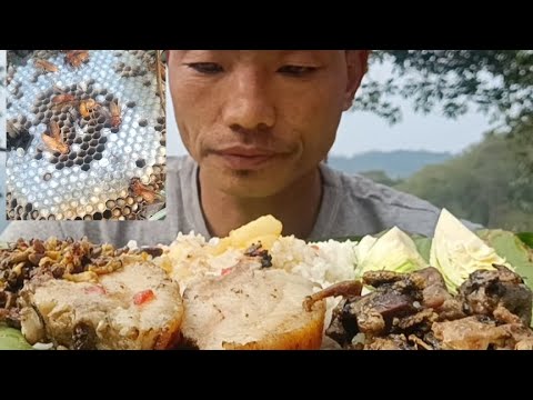 Mukbang video about //Rice#pork#wildbird# giant hornet etc