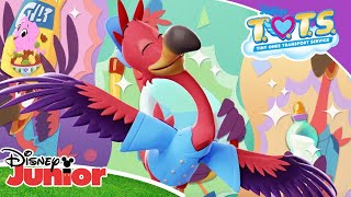 🎶 Wow Wow Wow | T.O.T.S | Disney Kids