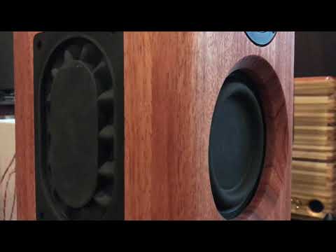 Microfarad v2 crossover and excursion test Despacito