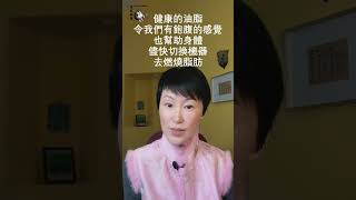 健康的油脂? What is the healthy fat? Healthy Fat for keto diet #weightloss #keto #lowcarb