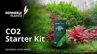 Co2 Starter Kit Set Up Tutorial  | Dennerle Plants