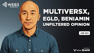 MultiversX, EGLD, Beniamin Mincu... - An unfiltered interview with Joe Wu (Multiconomy)