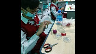 TOPIK 3 KONEKSI ANTAR MATERI SEL RODATUS SOFIAH
