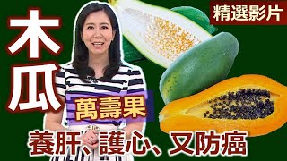 【健康好生活 超精彩回顧】養肝、護心、又防癌的萬壽果 -- 木瓜 /// 港式椰汁木瓜撈   橙香青木瓜   木瓜海鮮盅   木瓜辣炒雞