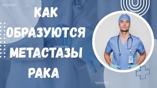 Открытие основной причины возникновения метастазов  Гипоксия и раковые стволовые клетки #метастазы