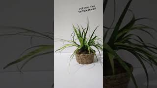 #miniature #handembroidery #wastematerialcraftidea #craftideas #diycrafts #shorts #shortsvideo