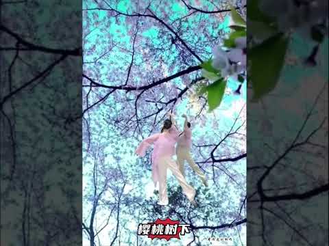 樱桃树下 #人生感悟 #能量療愈