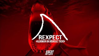 Xpert - Rexpect