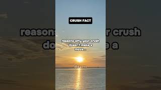 reasons why your crush doesn't make a move #crushfacts #facts #factsshorts #fyp #shorts