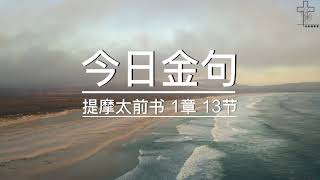 回应召命，实践使命---- 提摩太前书 1章 1-11节