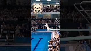 🐾まさかの高得点⁉ 猫の飛び込み競技が本気すぎた #short #猫リンピック #猫の飛び込み #ニャンリンピック #猫競技 #猫アスリート