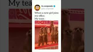 When new girl joins office |#officememes #memes #employeefirst #funny #manager #humormeme #cat