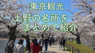 [Tokyo Tourism] A brief introduction to Ueno's famous spots Ueno Park, Ameya Yokocho, etc.