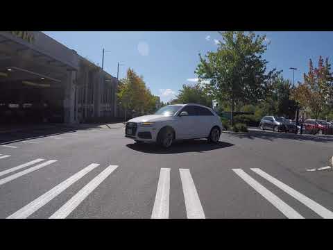 gopro ram mount #2
