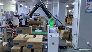 Warsonco Palletizing Robot Combo