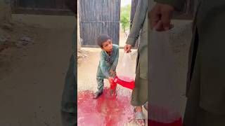 masom peyasa bacha#viralvideo #shotsvideo #shotsfeed #ytshorts