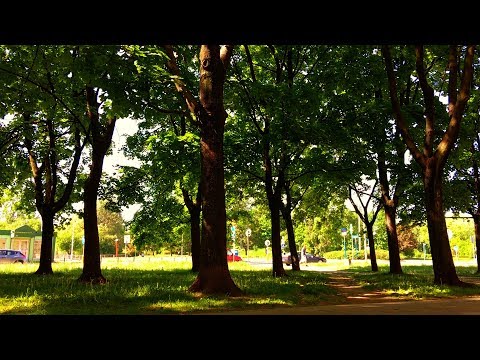 Square