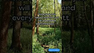 #NatureQuotes #NatureWisdom #NatureLove #BeautyOfNature #NatureInspires #PeacefulNature