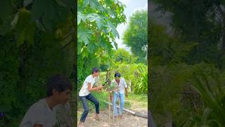 Farming ☘️❤️ #trending #shorts #viral #instagram #india #farming #villagelife #kisan #kheti #youtube